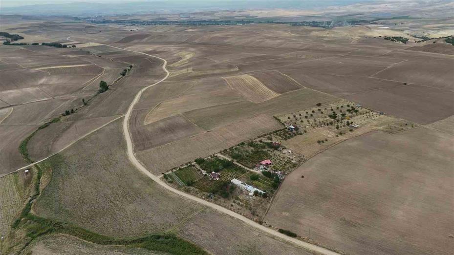 Bozkırın ortasında 15 yıllık emek: Emekli öğretmen yeşil vaha oluşturdu