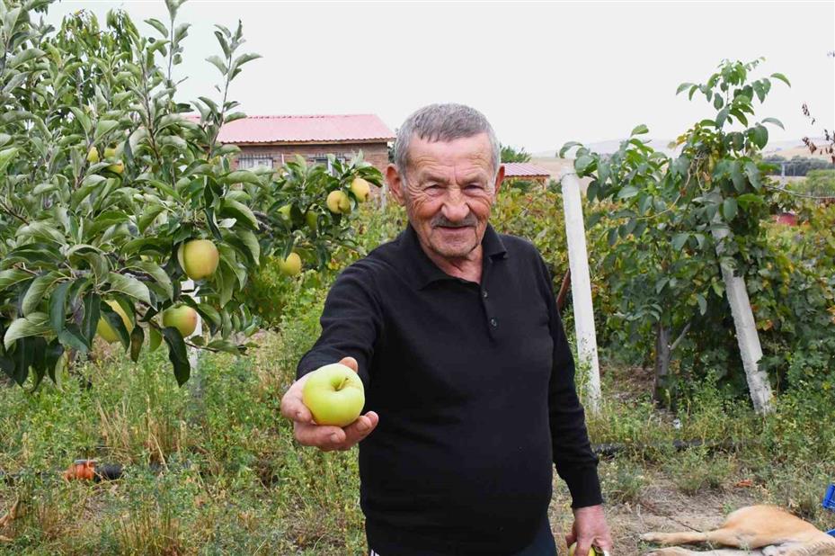Bozkırın ortasında 15 yıllık emek: Emekli öğretmen yeşil vaha oluşturdu