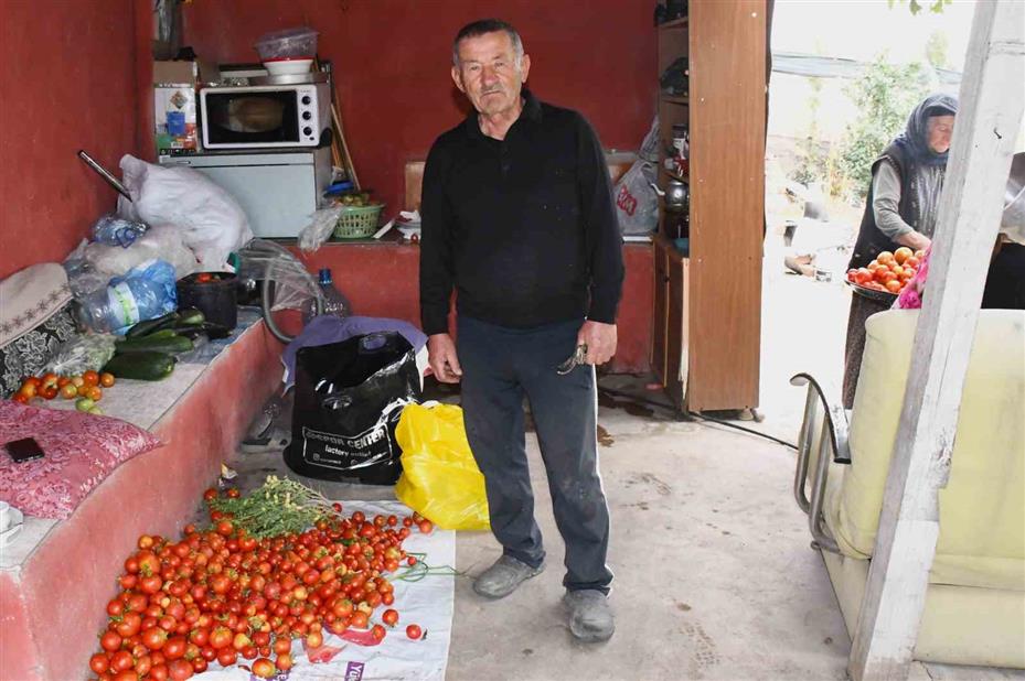 Bozkırın ortasında 15 yıllık emek: Emekli öğretmen yeşil vaha oluşturdu