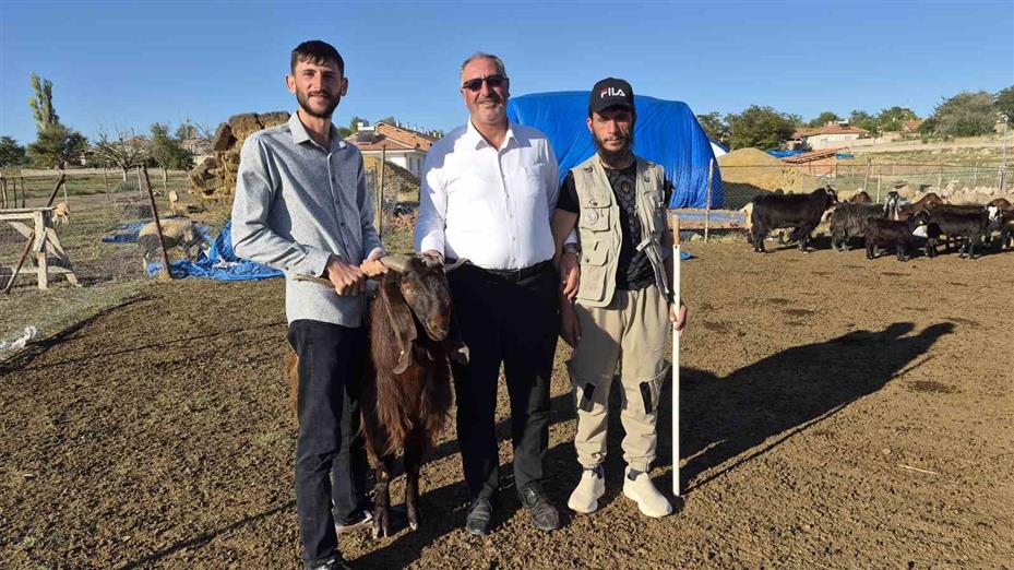 Çobanlık yapıyordu, şimdi kendi sürüsünün başına Afgan çoban getirdi