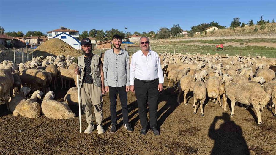 Çobanlık yapıyordu, şimdi kendi sürüsünün başına Afgan çoban getirdi