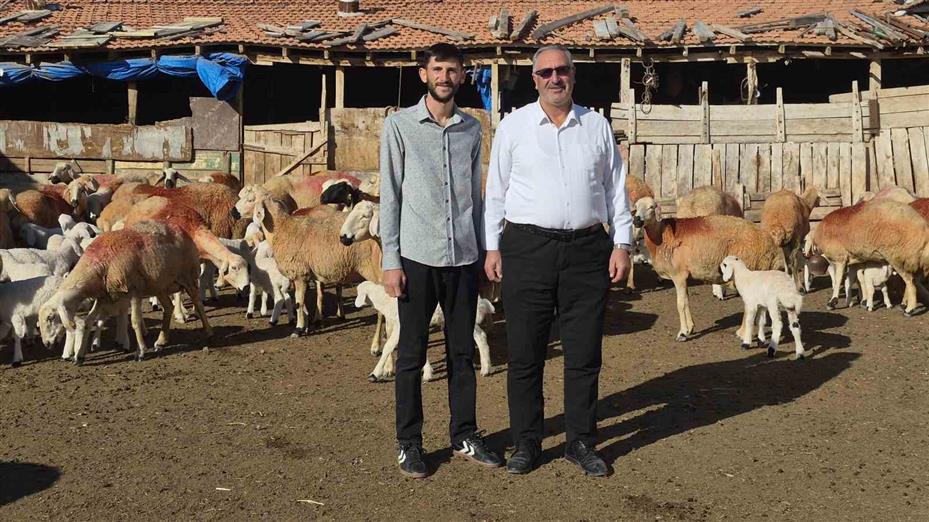 Çobanlık yapıyordu, şimdi kendi sürüsünün başına Afgan çoban getirdi