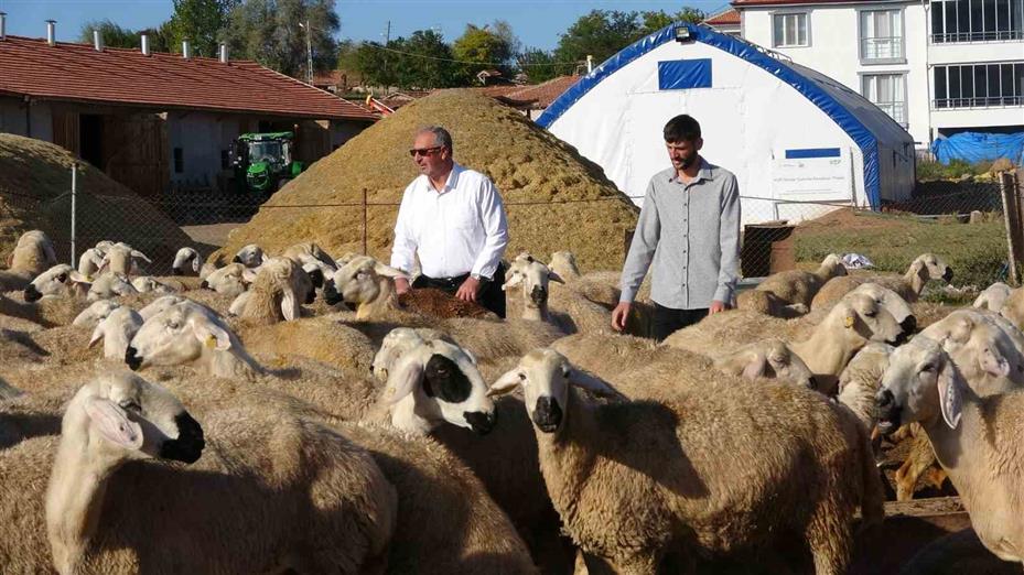 Çobanlık yapıyordu, şimdi kendi sürüsünün başına Afgan çoban getirdi