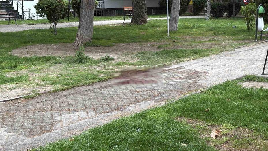 Alkol aldıkları sırada çıkan tartışmada arkadaşını bıçakla ağır yaralayan şüpheli yakalandı