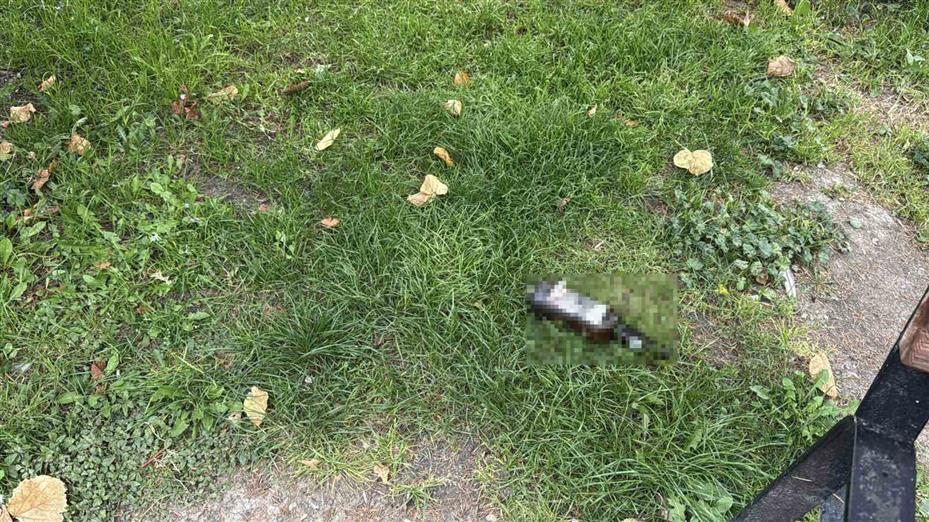Alkol aldıkları sırada çıkan tartışmada arkadaşını bıçakla ağır yaralayan şüpheli yakalandı