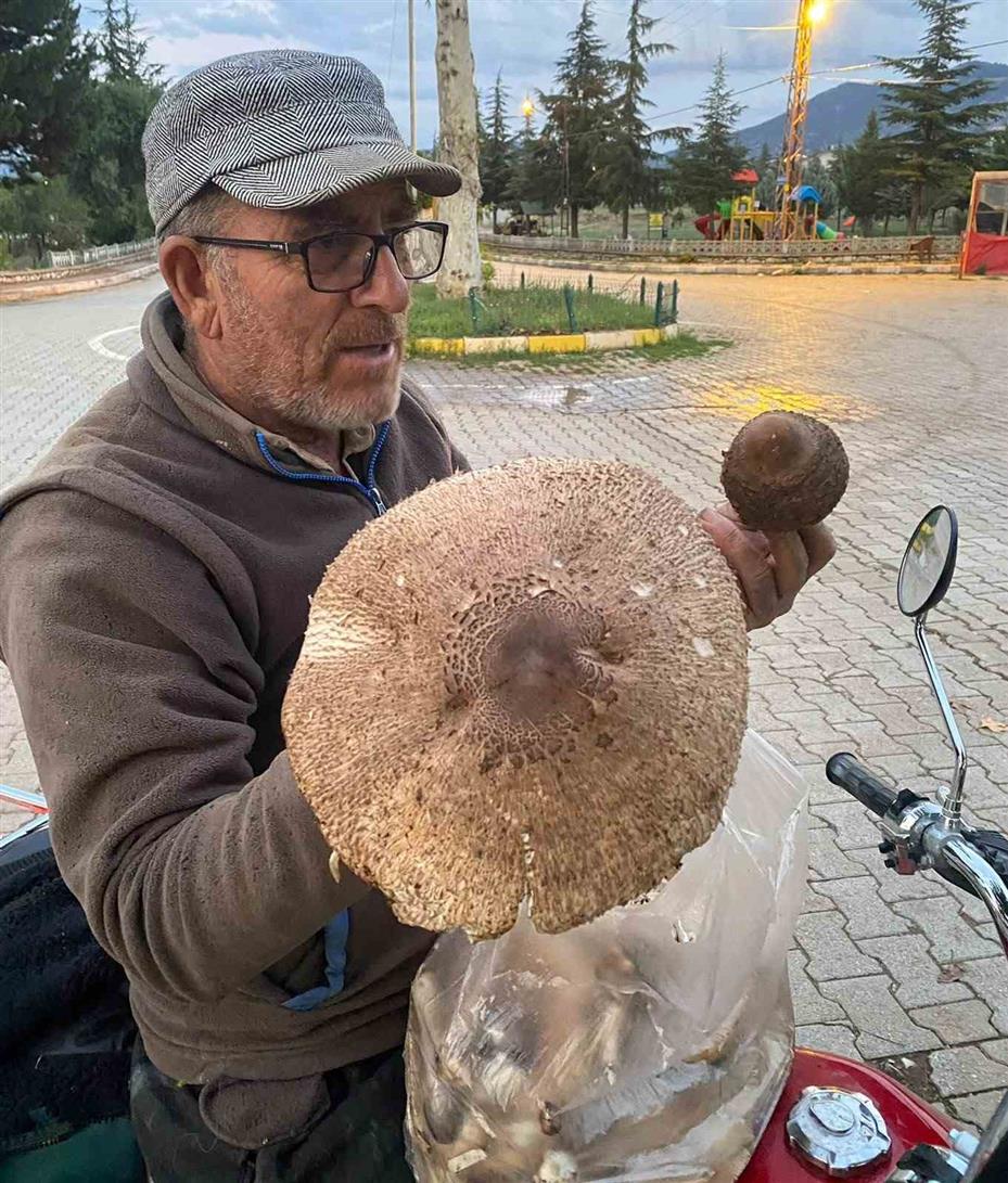 Bulduğu mantar boyutuyla şaşırttı