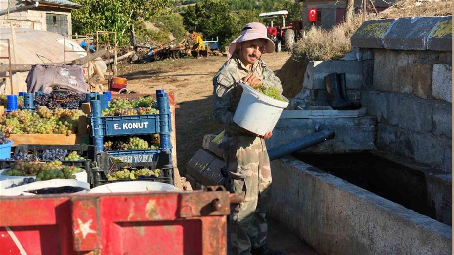 Yozgat’ta bağ bozumu heyecanı pekmez yolculuğuna uzandı