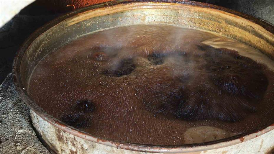 Yozgat’ta bağ bozumu heyecanı pekmez yolculuğuna uzandı