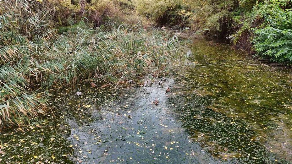 Eskişehir’de sonbahar manzarası mest etti