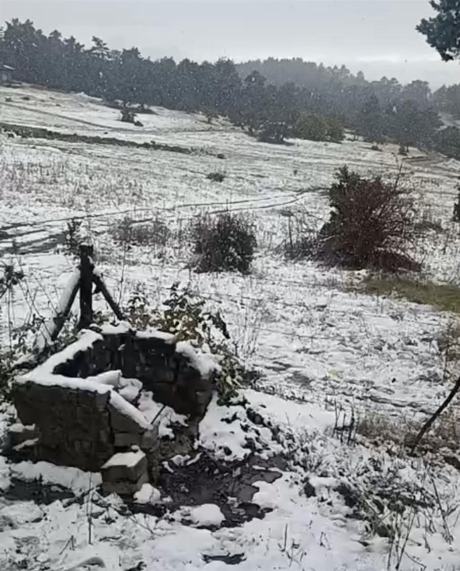 Eskişehir Alpu ilçesinde kar yağışı etkili oldu