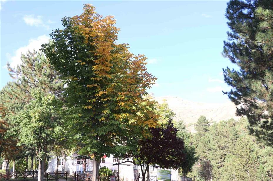 Yaz aylarında iğne atsan yere düşmüyor, sonbaharda ise sessizliğe büründü