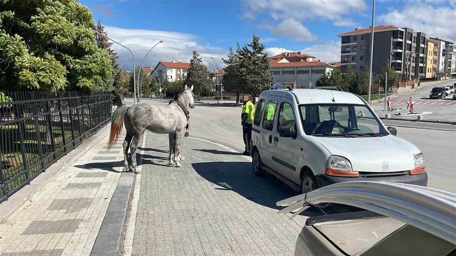 Karaman’da firari atın otomobile çarptığı anlar kameraya yansıdı