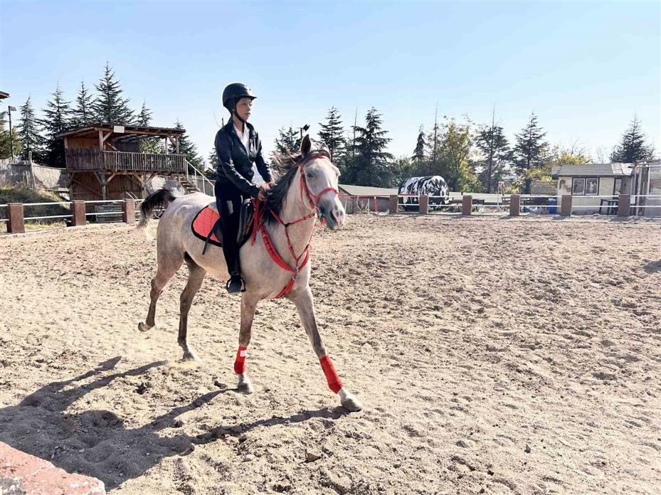 Atlarla vakit geçiren çocuklar teknolojiye mesafe koyuyor