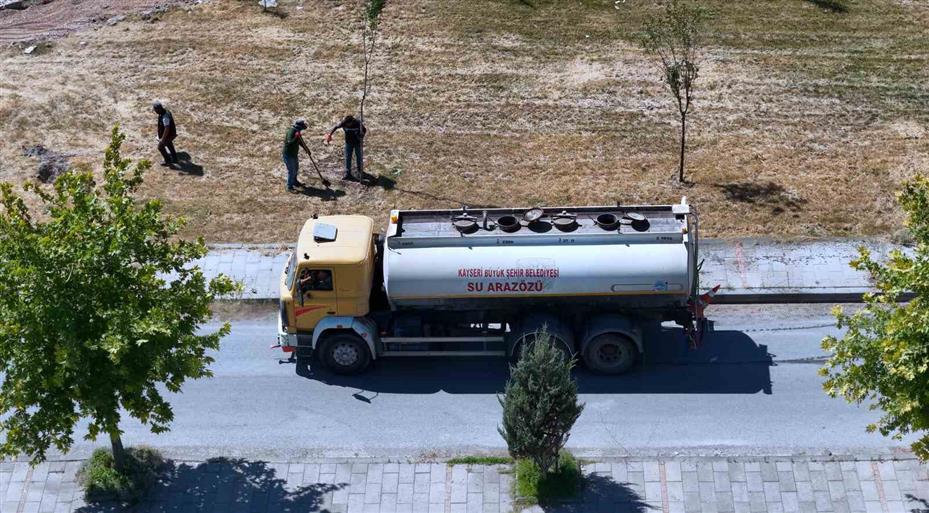 Ömrünü tamamlayan ağaçların yerine yenileri dikiliyor