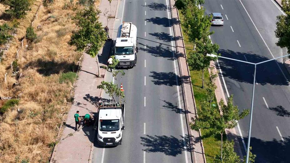 Ömrünü tamamlayan ağaçların yerine yenileri dikiliyor