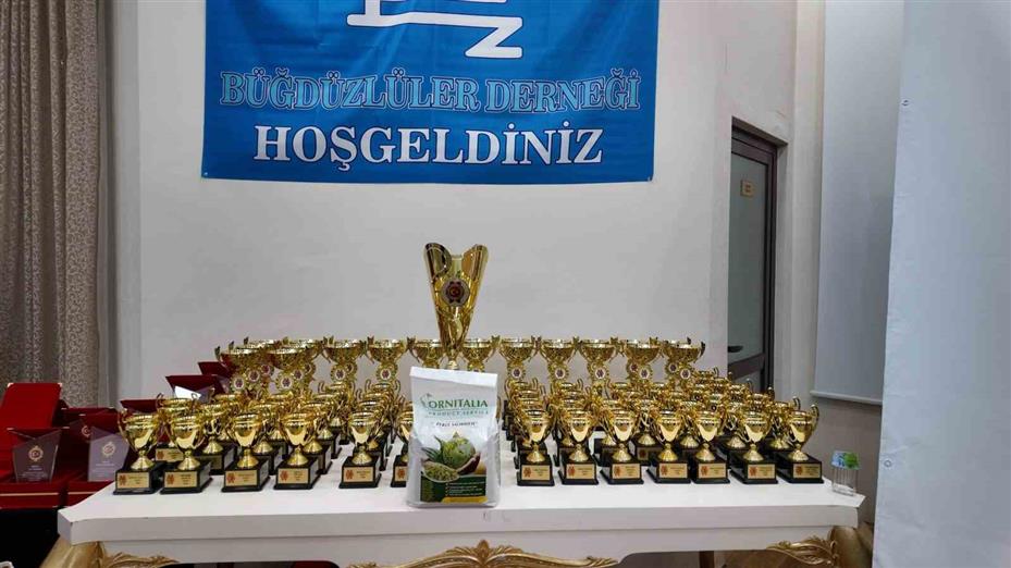 Akyurt’ta Uluslararası Gloster Kanarya Yarışması düzenlendi