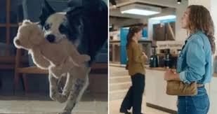 Bakan Göktaş’tan Bosch’un reklam filmine tepki