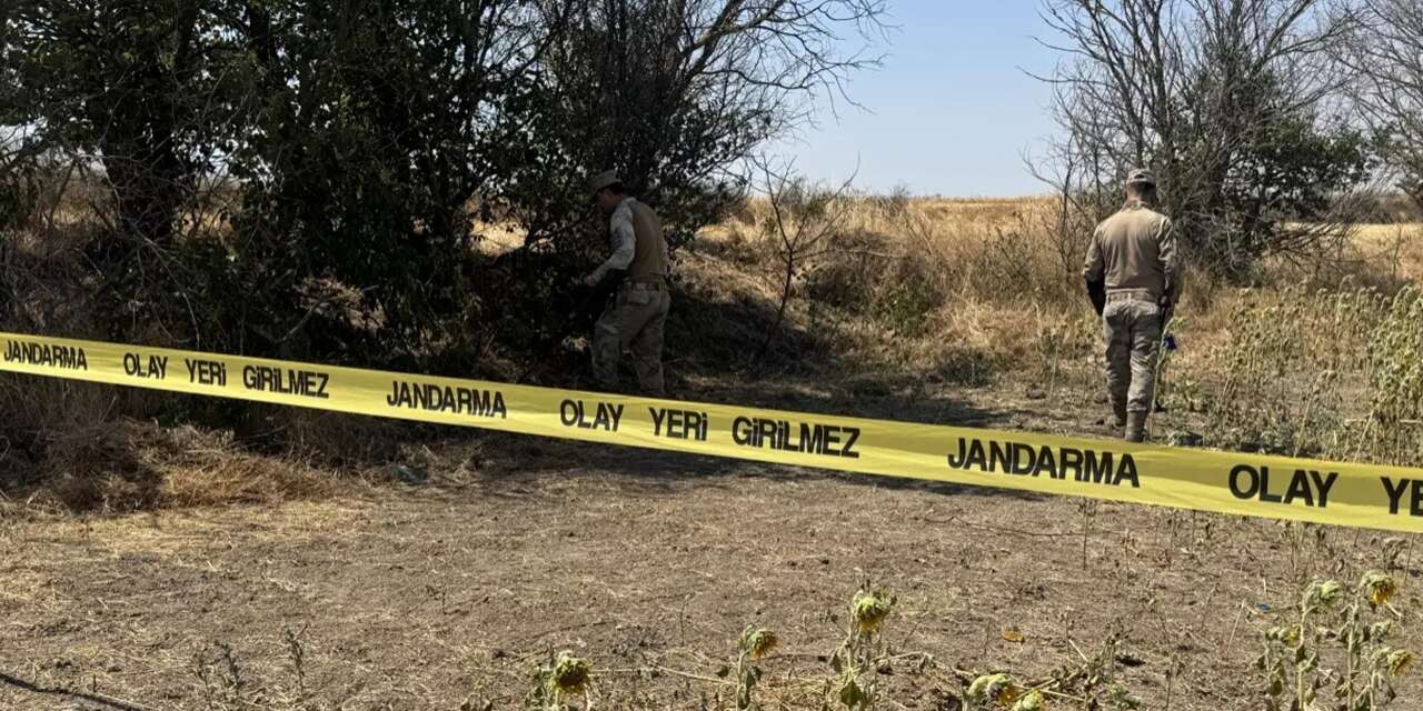 Karaman’da ot yangını: 1 ölü