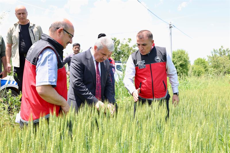 Vali İbrahim Akın, Akşehir’de Sel ve Dolu Yağışından Etkilenen Bölgelerde İncelemelerde Bulundu