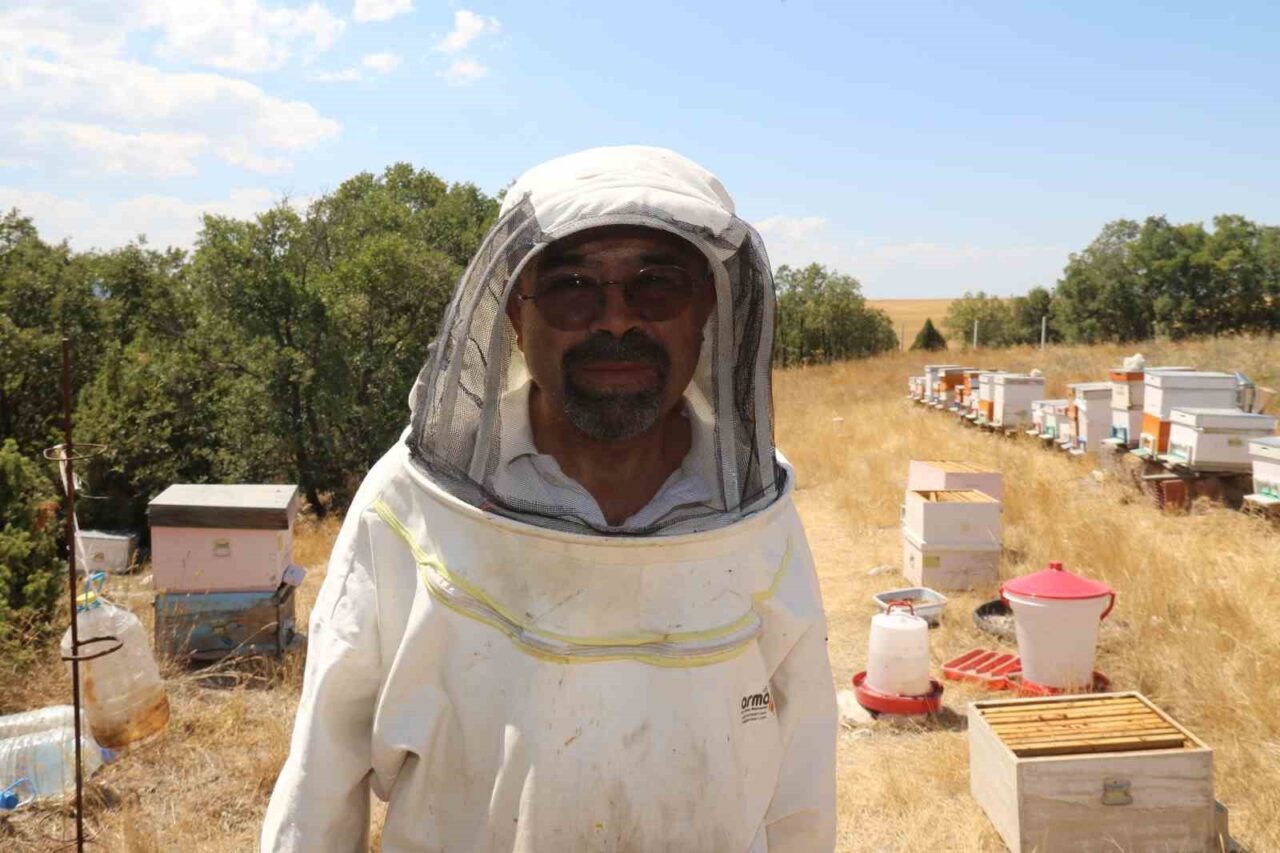 Lavanta bahçeleri hem göze hem damağa hitap ediyor