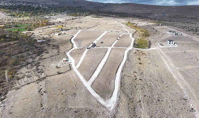 Niğde’de tarıma elverişli olmayan araziler lavanta ile üretime kazandırılıyor