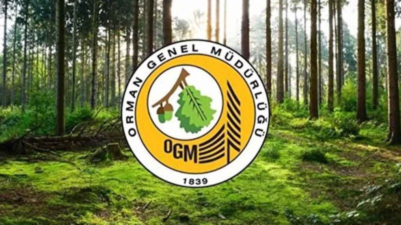 Orman Genel Müdürlüğü: "Tasarruf tedbirleri nedeniyle yangınlarla mücadelede yetersiz kalındığı haberleri gerçeği yansıtmıyor"