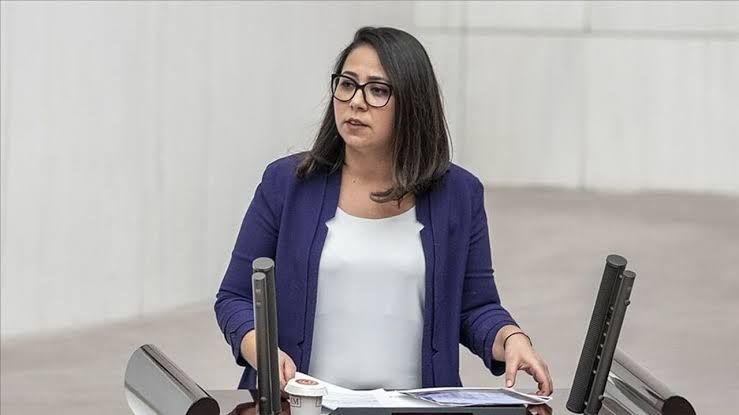 Ankara Cumhuriyet Başsavcılığı’ndan Saliha Sera Kadıgil hakkında re’sen soruşturma
