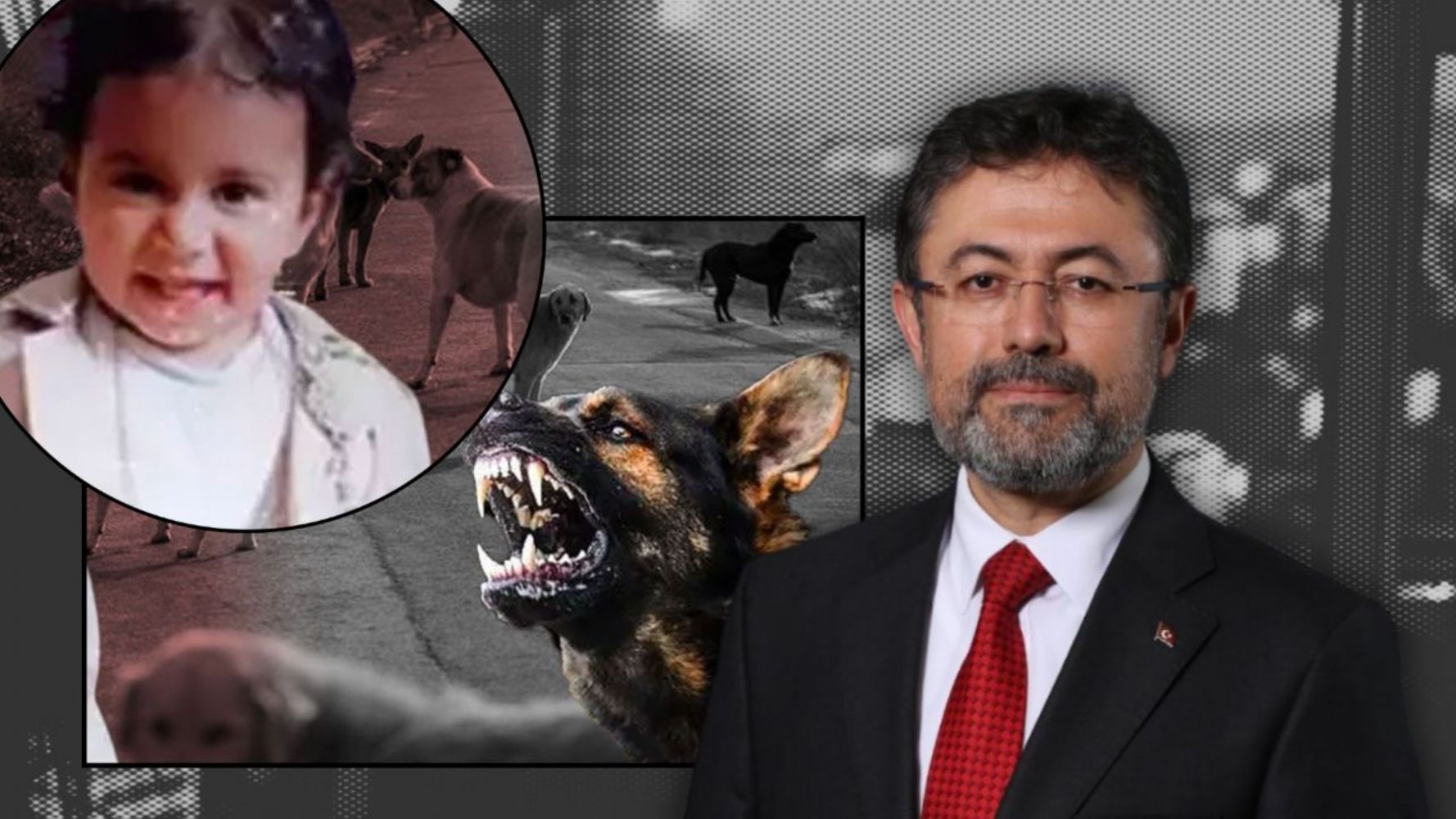 Bakan Yumaklı: "Üzerinde durduğumuz tek nokta, bu köpeklerin yerlerinin sokaklar olmadığıdır"