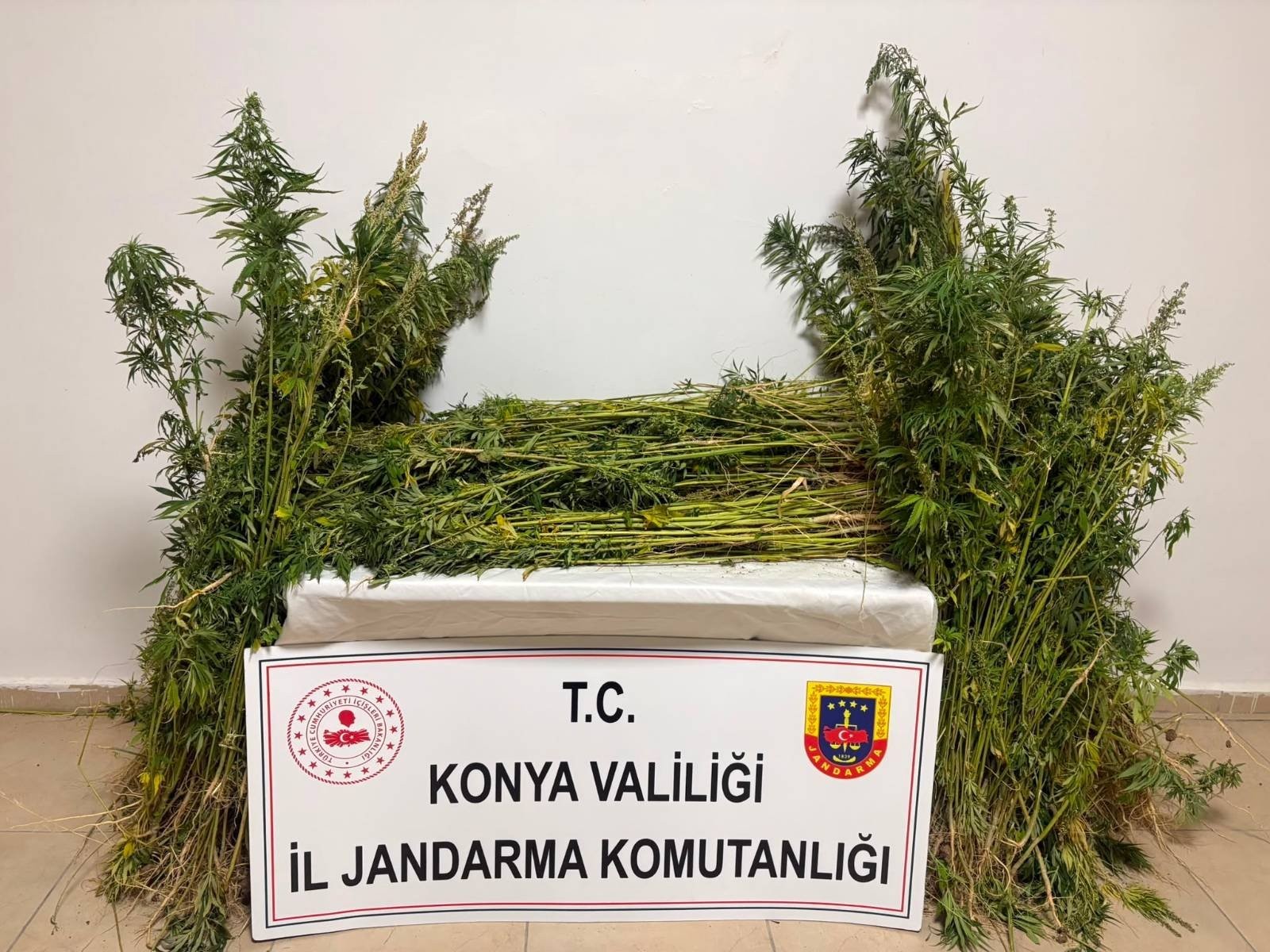 Konya’da jandarmadan uyuşturucu operasyonu: 7 tutuklama