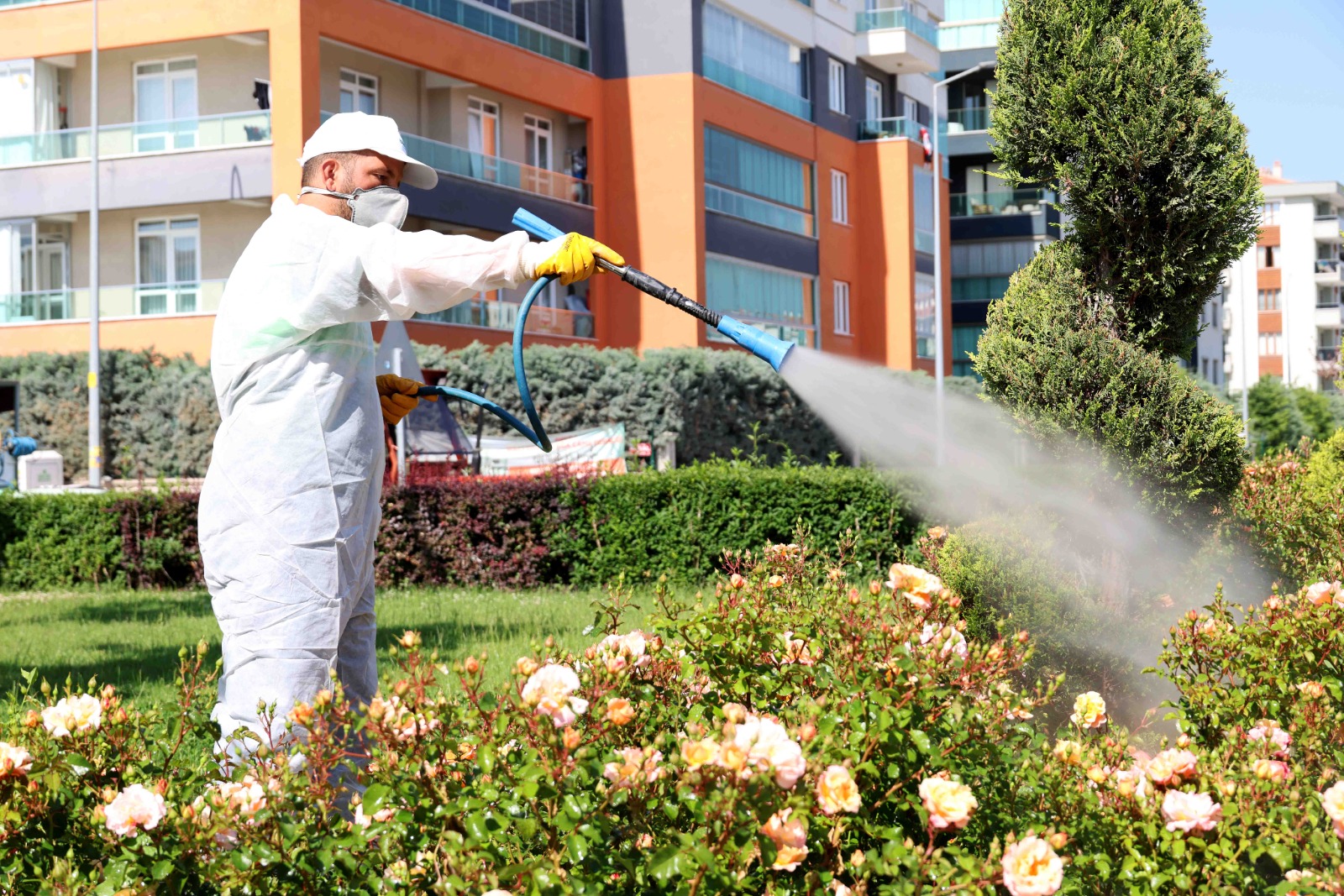 Karatay'da İlaçlama Çalışmaları Sürüyor