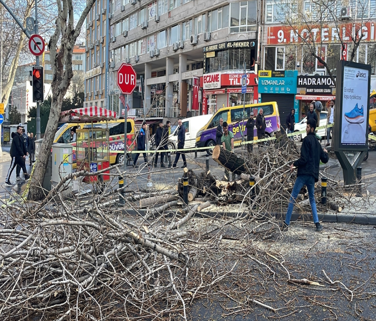 Fatih'te devrilen agacin altinda kalan 2 araçta hasar olustuFerhat Yasak,Halis Akyildiz