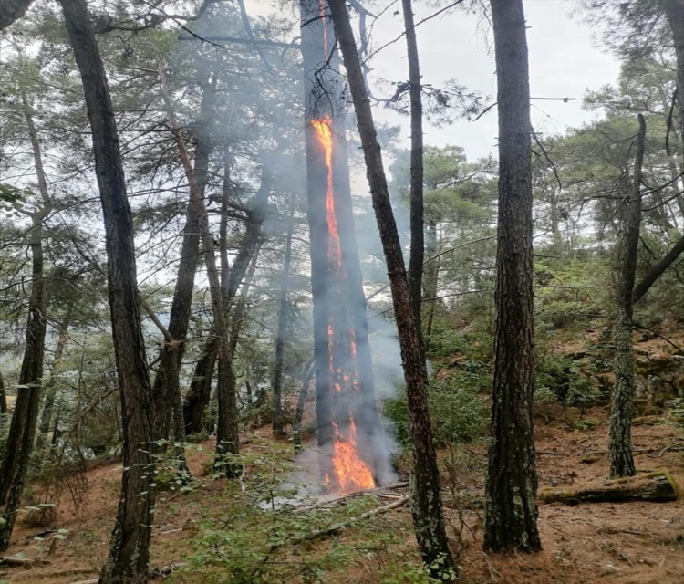 Mugla'da dün yildirimlar 36 yerde yangina neden oldu Durmus Genç