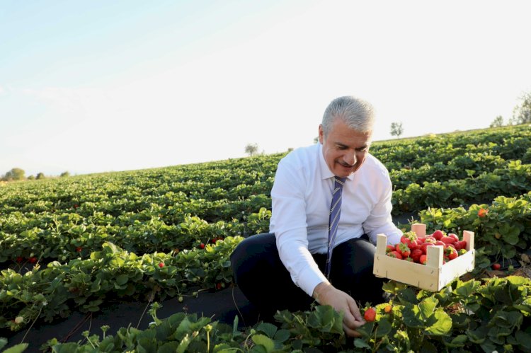 Vali İbrahim Akın, Beyşehir ve Hüyük İlçelerinde İlk Ziyaretlerini Gerçekleştirdi